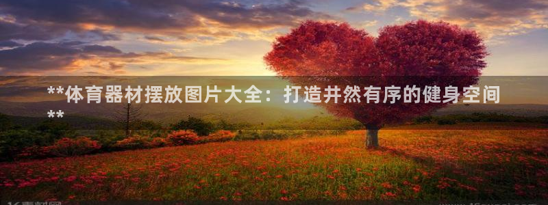 耀世平台将7O777：**体育器材摆放图片大全：打造