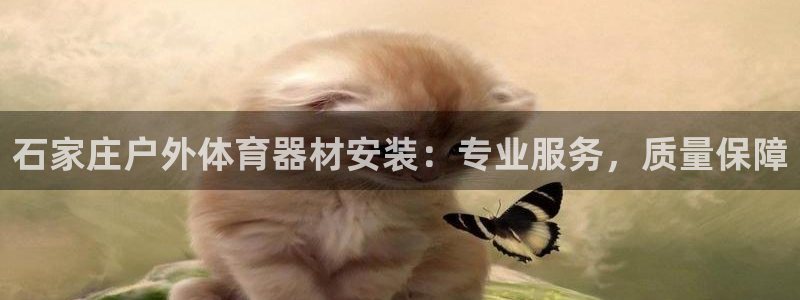 耀世平台皮皮虾：石家庄户外体育器材安装：专业服务，质