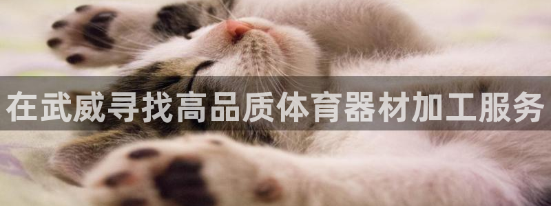 耀世平台注册最新地址：在武威寻找高品质体育器材加工服