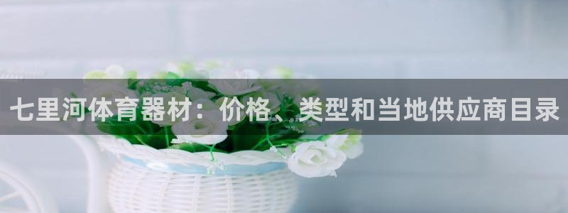 耀世是什么游戏：七里河体育器材：价格、类型和当地供应