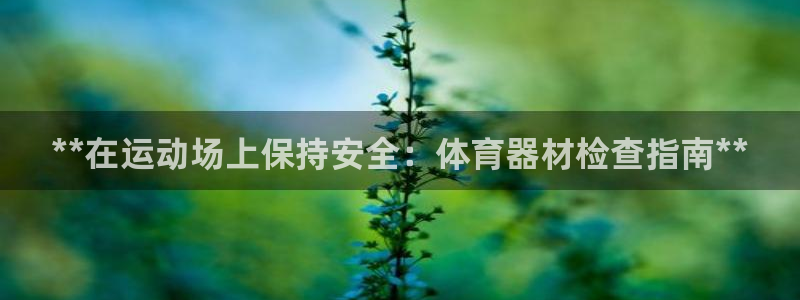 耀世娱乐注册开户：**在运动场上保持安全：体育器材检