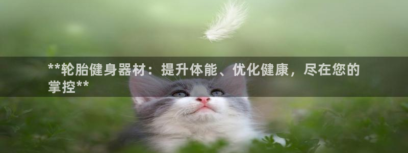 耀世挑战第三关怎么打：**轮胎健身器材：提升体能、优