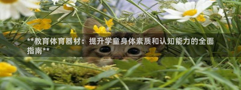 耀世平台有很多登录地址：**教育体育器材：提升学童身
