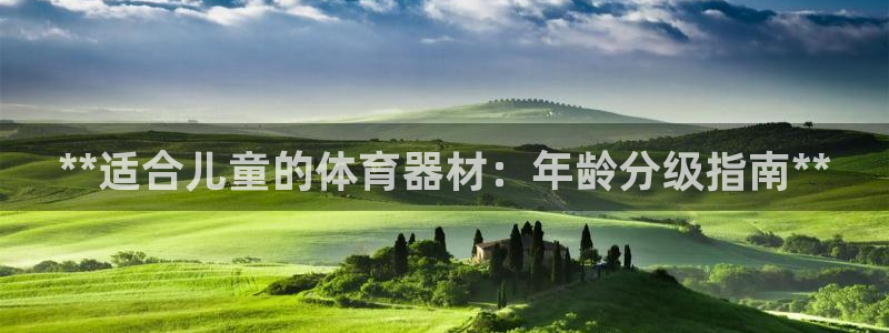 耀世娱乐官方网站：**适合儿童的体育器材：年龄分级指