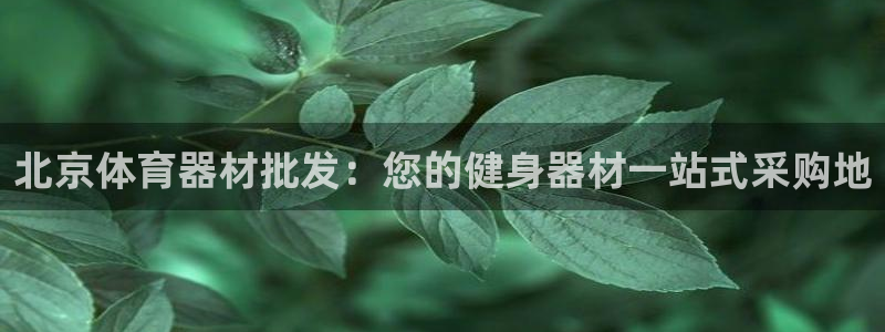 耀世娱乐安全吗可信吗：北京体育器材批发：您的健身器材