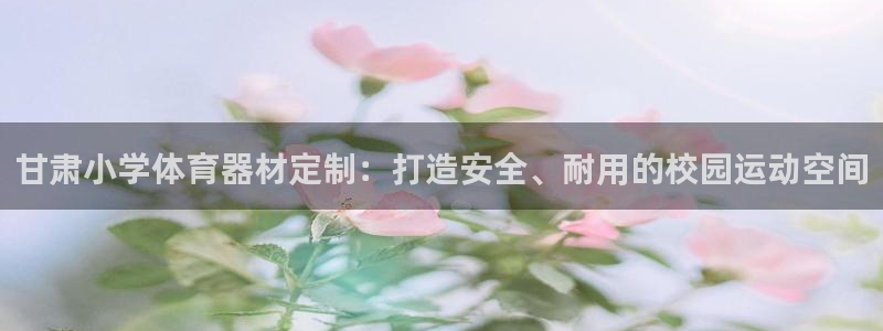 耀世集团视频介绍大全：甘肃小学体育器材定制：打造安全