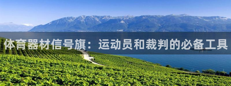 耀世娱乐然 37OO735：体育器材信号旗：运动员和