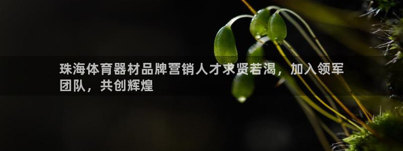 四川耀世发展集团：珠海体育器材品牌营销人才求贤若渴，