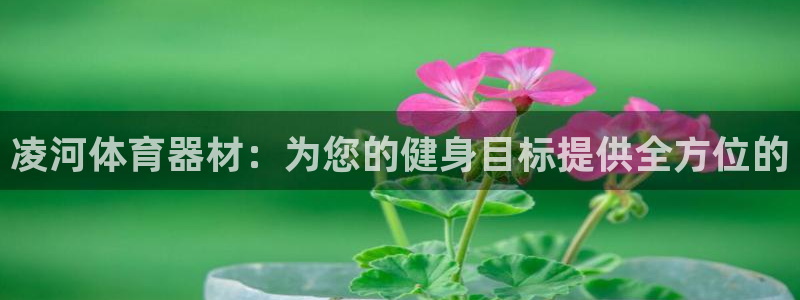 耀世平台开户流程：凌河体育器材：为您的健身目标提供全
