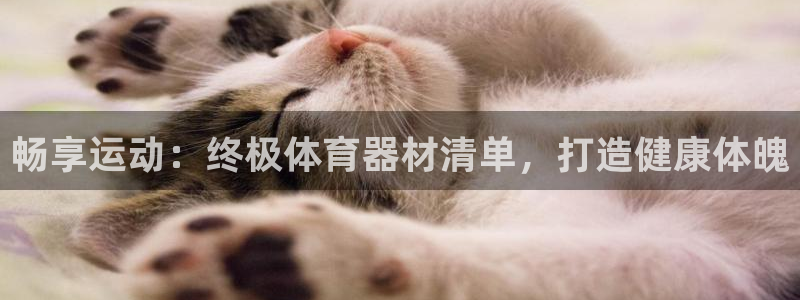 耀世娱乐官网网站登录：畅享运动：终极体育器材清单，打