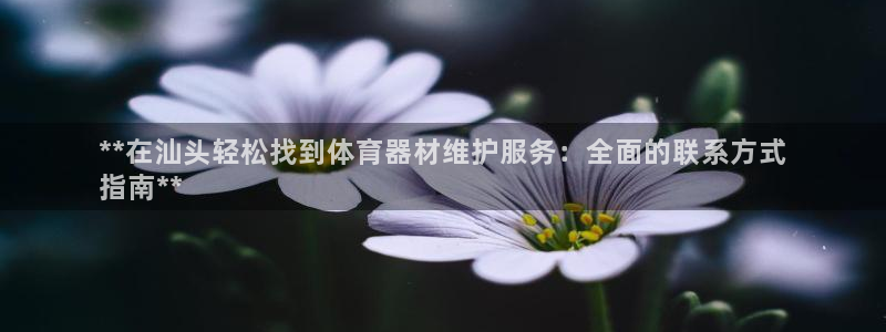 耀世娱乐安全吗：**在汕头轻松找到体育器材维护服务：