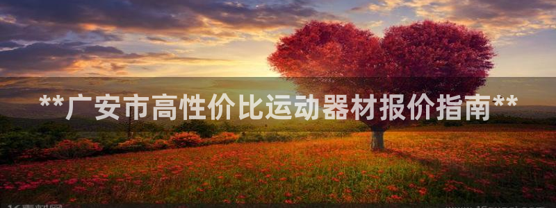 耀世挑战攻略：**广安市高性价比运动器材报价指南**
