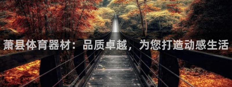 耀世盛典手游下载安装：萧县体育器材：品质卓越，为您打