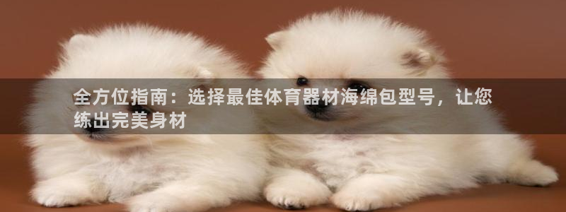 耀世娱乐平台官网登录不了怎么办：全方位指南：选择最佳