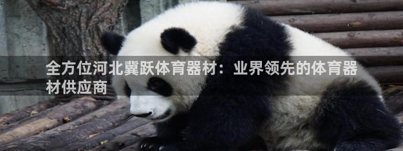 耀世璀璨：全方位河北冀跃体育器材：业界领先的体育器
