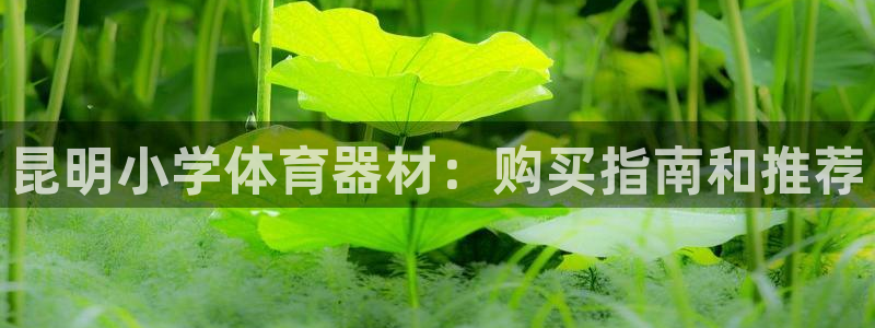 耀世娱乐怎么注册 贴吧：昆明小学体育器材：购买指南和