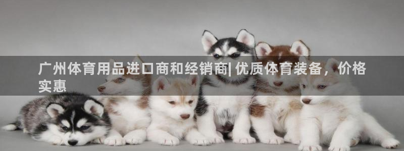 耀世微光歌曲下载：广州体育用品进口商和经销商| 优质
