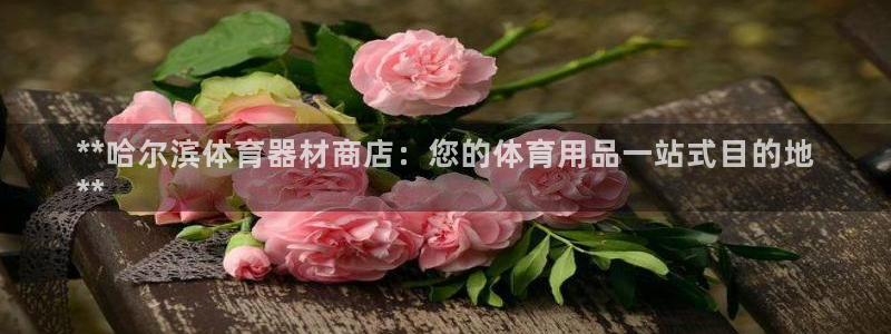 耀世娱乐脚本下载安装：**哈尔滨体育器材商店：您的体