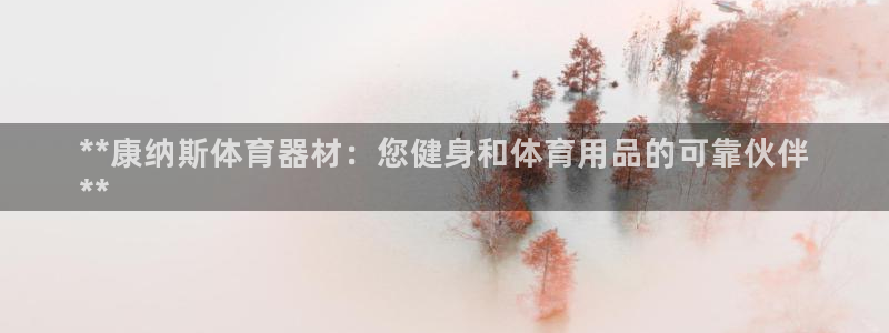 耀世盛典手游：**康纳斯体育器材：您健身和体育用品的