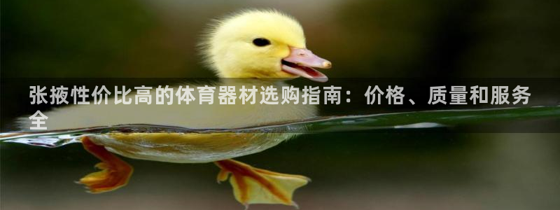 耀世微光歌词：张掖性价比高的体育器材选购指南：价格、