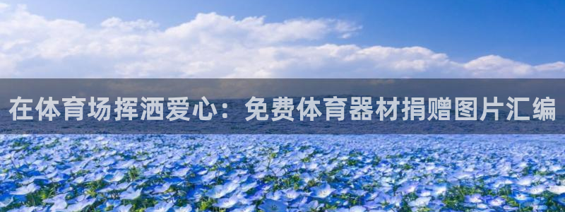 耀世平台理 411o31 平台：在体育场挥洒爱心：免