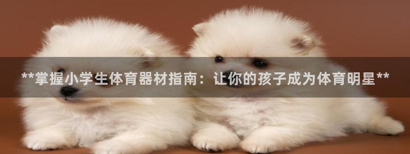 耀世平台代理多少钱：**掌握小学生体育器材指南：让你