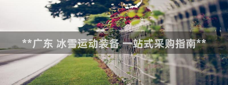 耀世平台卜6.7.5.1.3.8：**广东 冰雪运动