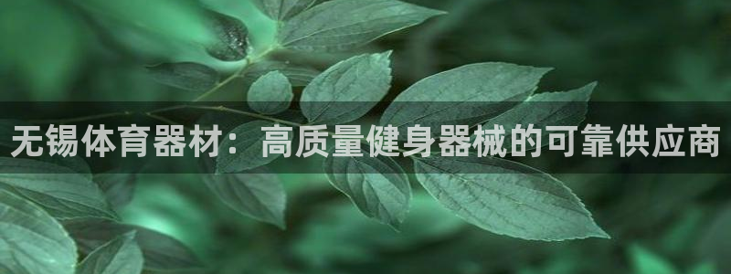 耀世平台注册最新地址：无锡体育器材：高质量健身器械的