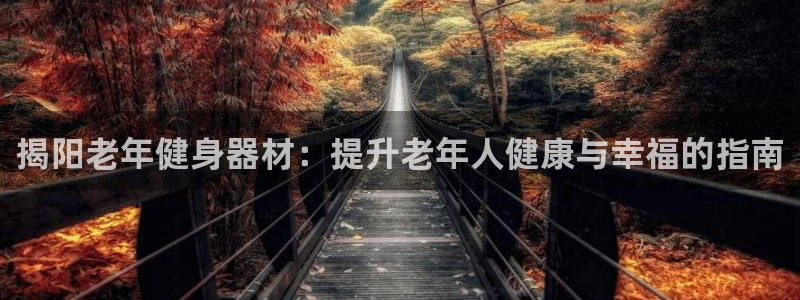 耀世娱乐如何登录账号密码：揭阳老年健身器材：提升老年