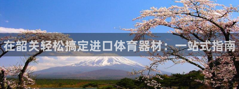 耀世国际集团：在韶关轻松搞定进口体育器材：一站式指南