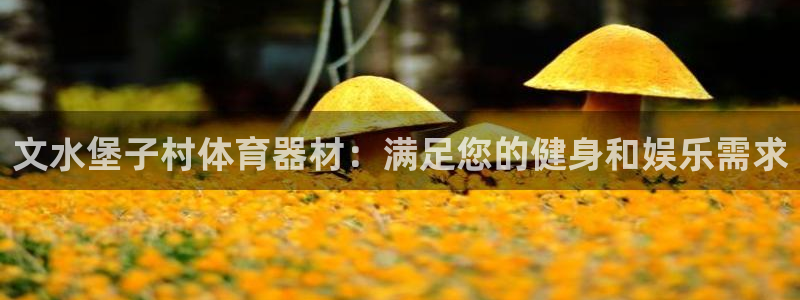 耀世成语：文水堡子村体育器材：满足您的健身和娱乐需求