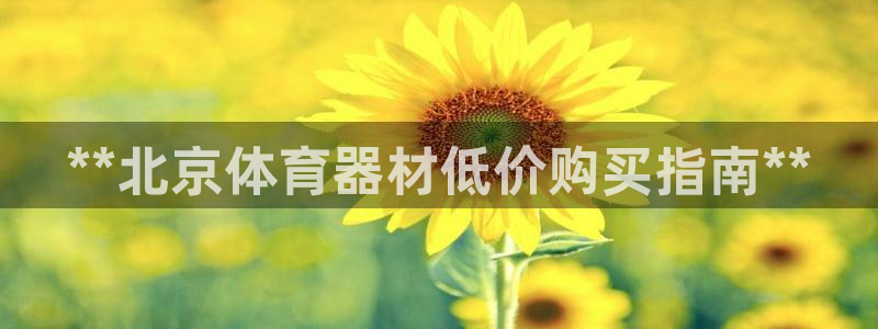 耀世平台代理怎么做：**北京体育器材低价购买指南**