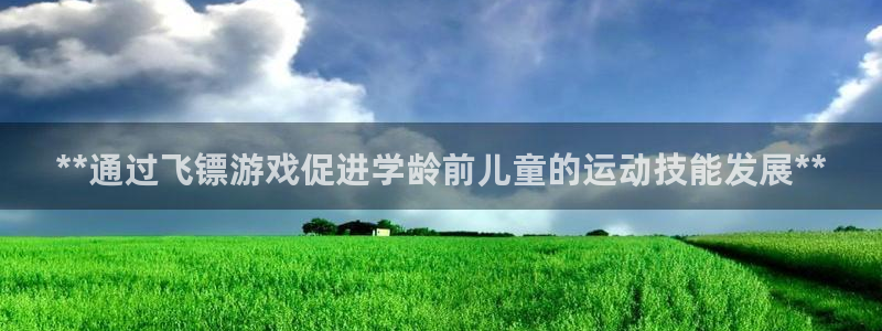 耀世国际集团董事长：**通过飞镖游戏促进学龄前儿童的