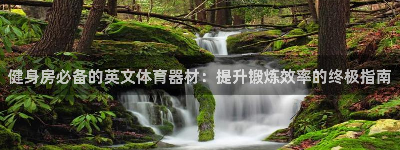耀世娱乐app下载：健身房必备的英文体育器材：提升锻