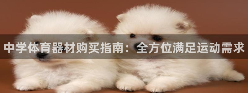 耀世娱乐百科最新：中学体育器材购买指南：全方位满足运