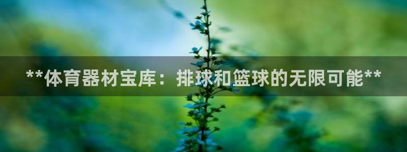 耀世平台列7O777：**体育器材宝库：排球和篮球的