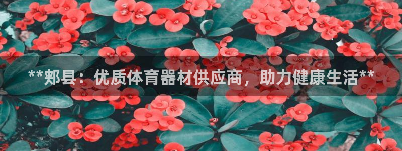 耀世国际集团：**郏县：优质体育器材供应商，助力健康
