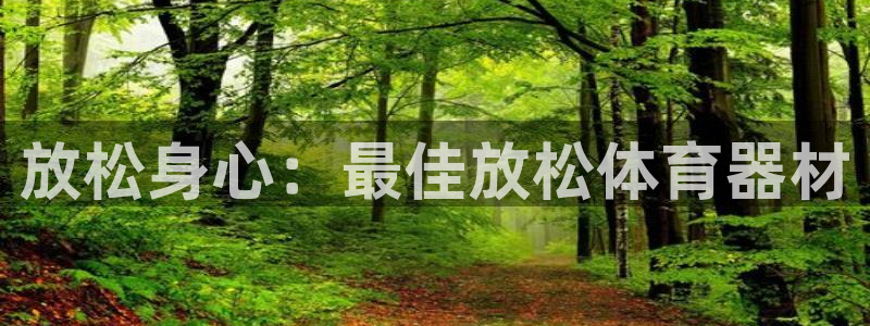 耀世娱乐总代理是谁：放松身心：最佳放松体育器材
