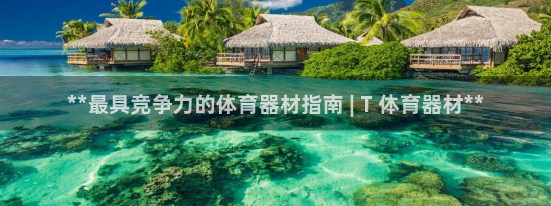 耀世盛典手游：**最具竞争力的体育器材指南 | T 