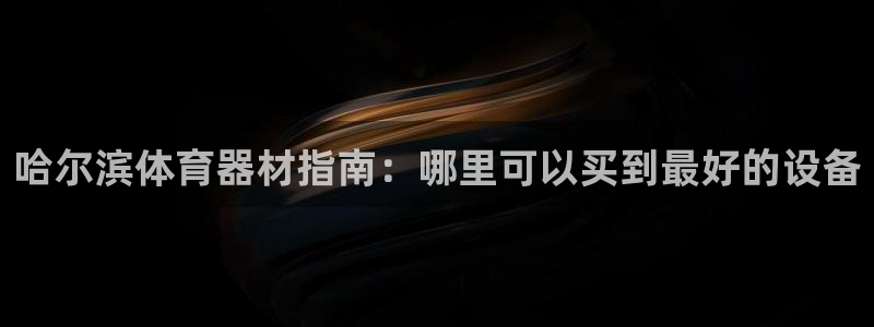 耀世国际集团是国企吗还是私企：哈尔滨体育器材指南：哪