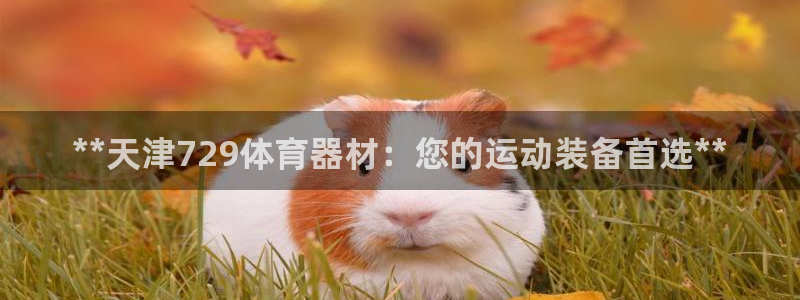 耀世娱乐能提现到微信吗：**天津729体育器材：您的
