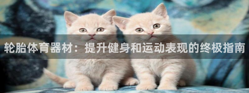 耀世平台招商：轮胎体育器材：提升健身和运动表现的终极