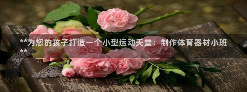 耀世天下和如日中天哪个好：**为您的孩子打造一个小型