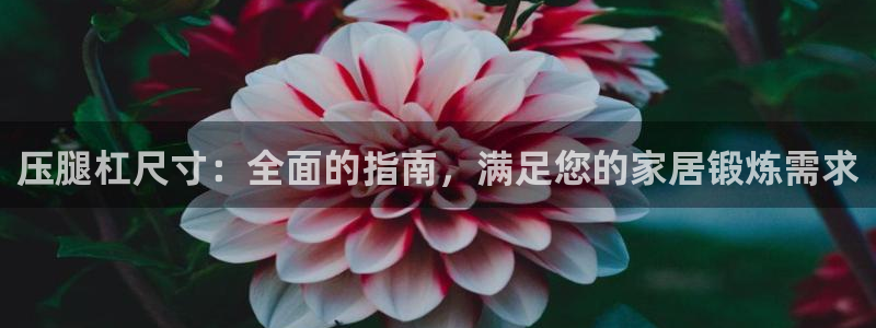 耀世娱乐含山县：压腿杠尺寸：全面的指南，满足您的家居