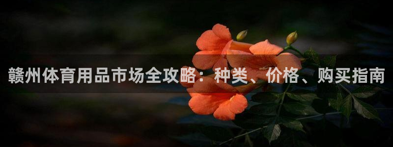 耀世平台登录地址在哪：赣州体育用品市场全攻略：种类、