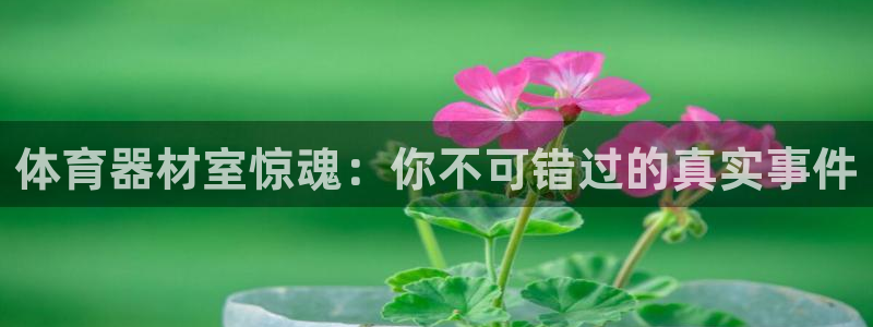 耀世娱乐下载最新版本安装苹果：体育器材室惊魂：你不可