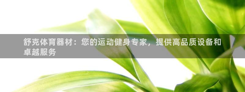 耀世娱乐客服：舒克体育器材：您的运动健身专家，提供高
