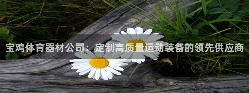 耀世娱乐提款：宝鸡体育器材公司：定制高质量运动装备的