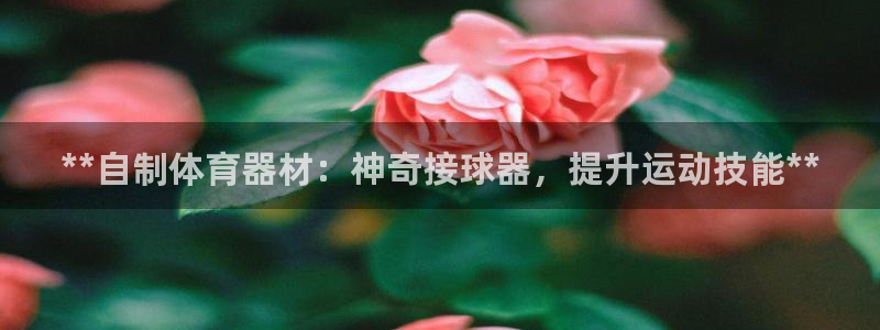 耀世娱乐间7O777：**自制体育器材：神奇接球器，