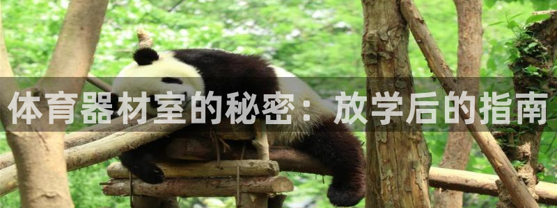耀世娱乐官网注册流程：体育器材室的秘密：放学后的指南